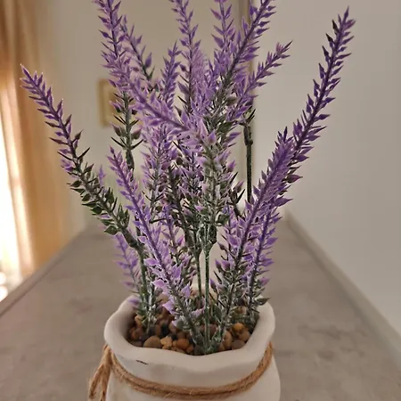 Apartment Donatello