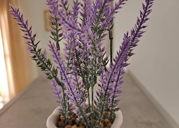 Apartment Donatello